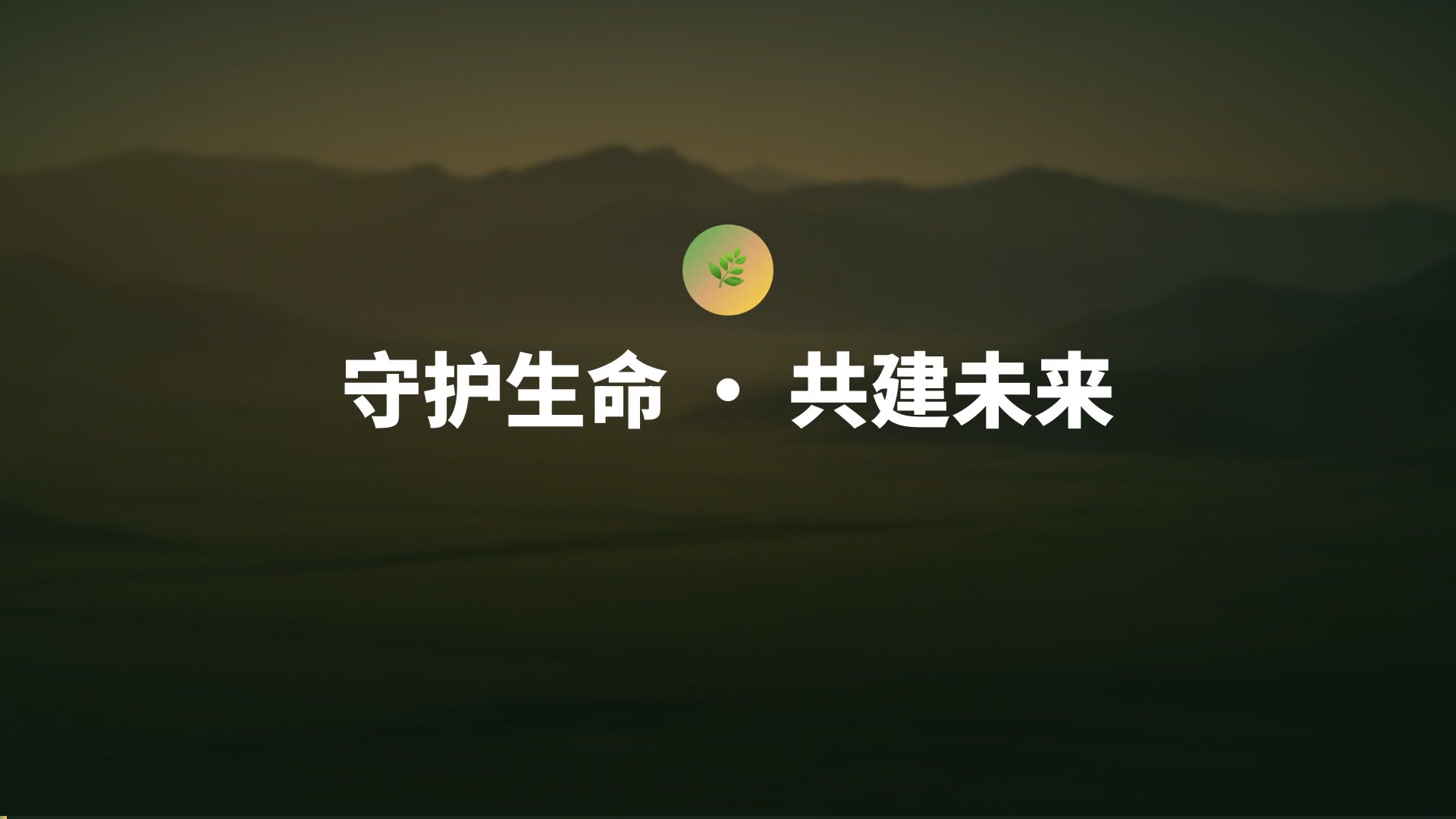 野生动物保护行动 — AI VibeKnow视频